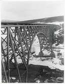 Järnvägsbron över Ångermanälven vid Forsmo på linjen mellan Långsele och Mellansel.