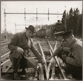 Växelkorsning från olycksplatsen efter urspårning i Simeå mars 1961.