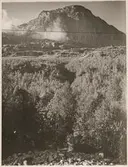 Del av jordskredet i närheten av Straumsnes på linjen mellan Riksgränsen och Narvik 1937 där två malmlok spårade ur.