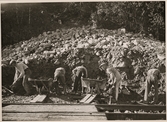 Röjningsarbete efter jordskred i närheten av Straumsnes på linjen mellan Riksgränsen och Narvik augusti 1937.