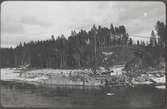Bro över Vindelälven. Broplatsen från väster mars 1921.
