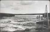 Bro över Ume-älv. Vy över östra älvfåran1922.