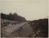 Bank vid Osiedals såg