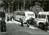 Busshållplats. Statens Järnvägar, SJ buss 1986.