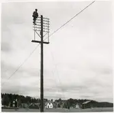 Reparation av telegrafledning efter åsknedslag.