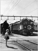 Ånglok SJ B 1367 och ellok SJ Da 941 vid Härnösand station i samband med invigningen av eldriften på sträckan Härnösand - Sollefteå - Långsele.