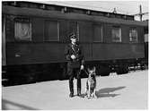Svensk järnvägspolis med schäferhund framför ett tyskt militärtåg på väg mot Norge under andra världskriget. Här på Östersunds centralstation. Vagnen bakom hundföraren är en tysk C3itr, traglastenwagnen, från 1910-talet. TT.