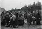 Finska flyktingar i Haparanda, hösten 1944.