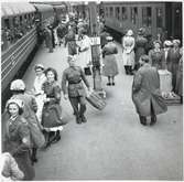 Krigsfångar vid tåget i Trelleborg.