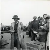 Utdelning av mat till danska flyktingar på hemresa.