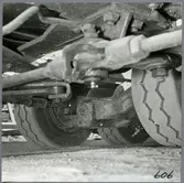 Underredet på en vagnbjörn.