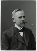 Trafikdirektör K. Gustaf  A. Welin.