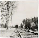 Trafikaktiebolaget Grängesberg–Oxelösunds Järnvägar, TGOJ ånglok drar godsvagnar lastade med malm.
