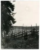 Vy vid Hagge Skogsförvaltning.