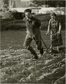 Reportage i Konduktörsposten om en bussförare vid Trafikaktiebolaget Grängesberg-Oxelösund Järnvägar, TGOJ. Här brukandes av jorden.