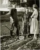 Reportage i Konduktörsposten om en bussförare vid Trafikaktiebolaget Grängesberg-Oxelösund Järnvägar, TGOJ. Här brukandes av jorden.