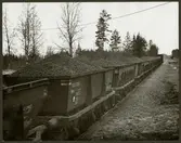 Trafikaktiebolaget Grängesberg - Oxelösunds Järnvägar, TGOJ M30 3215 transporterar kulsinter.