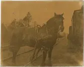 Den sista hästen som användes för växling vid Arboga station.