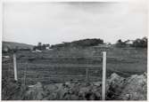 Efterdyningarna av jordskredet i Surte som inträffade den 29 september 1950.