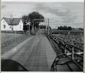 Järnvägsövergång vid Mätstocka på linjen mellan Veinge och Laholm.