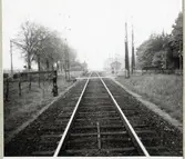 Järnvägsövergång vid Vegeholm på linjen mellan Ängelholm och Rögle.