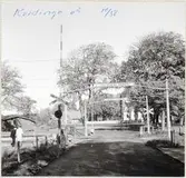 Järnvägsövergång vid östra delen av bangården vid Kvidinge station, på sträckan mellan Klippan och Kvidinge