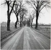 Järnvägsövergång vid Skabersjö gård.