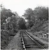Järnvägsövergång i Marsvinsholms skog.
