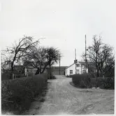 Järnvägsövergång väster om Löderup station, på sträckan mellan Borrby och Hedvigsdal.