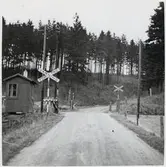 Järnvägsövergång vid Fåglasång, på sträckan mellan Eriksdal och Tomelilla.