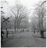 Järnvägsövergång vid Vinnö, på sträckan mellan Färlöv och Karpalund.