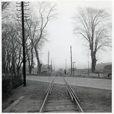 Järnvägsövergång vid Vinnö, på sträckan mellan Färlöv och Karpalund.