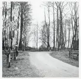 Järnvägsövergång vid Fogdarp, på sträckan mellan Eslöv och Kristianstad.