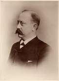 G.F.Brodin Maskindirektör 1875 född 22/5 1842