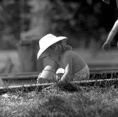 Badreportage, Hästhagen, Gustavsvik.
3 juni 1958.