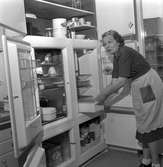 Tybbleområdet inflyttningsklart.
18 juni 1958.