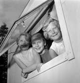 Gäddestareportage.
31 juli 1958.