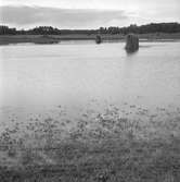 Översvämningar i Garphyttan.
4 augusti 1958.