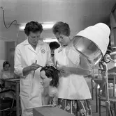 Frisörskolan (Hellström).
Augusti 1958.