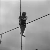 Friidrott.
1 september 1958.