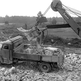 Ny viadukt.
3 september 1958.