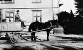 Gotthard Olsson, utkörare av pilsner från Alingsås bryggeri, sitter i bryggeriets vagn bakom en häst.