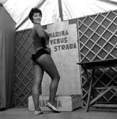 Hallsbergs marknad, Hallsbergs-marken.
11 oktober 1958.