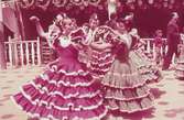 Flamencodansöser