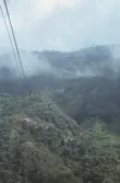 Utsikt över dalgång i El Avila, från linbanekorg