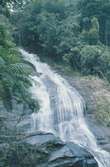 Parque Nacional da Tijuca, vattenfall