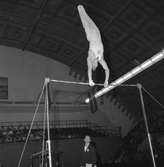 Gymnastikafton på Idrottshuset.
November 1956.