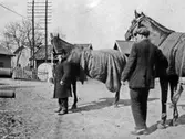 Bilden är troligen tagen i närheten av marknadsplatsen i nuvarande kvarteret Myggan. Möjligen pågår ett hästköp.