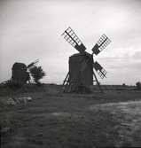 Väderkvarnar på Öland.