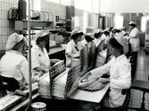 En bild av könsfördelningen på chokladfabriken med idel kvinnor i arbete.